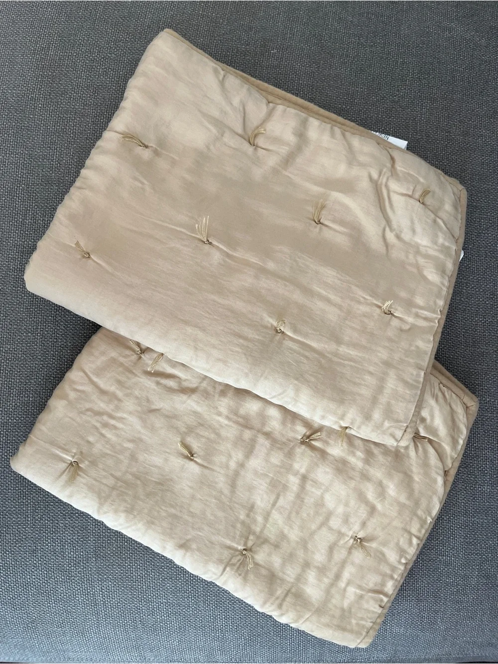 Pottery Barn Cotton & Silk Tufted Standard Shams – Set of 2 – Champagne